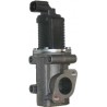 Valve E.G.R Fiat-Lancia-Opel-Suzuki 203004