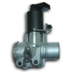 E.G.R. valve Smart 203012