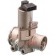 E.G.R. valve Smart 203012