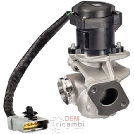 E.G.R. valve Ford 203020