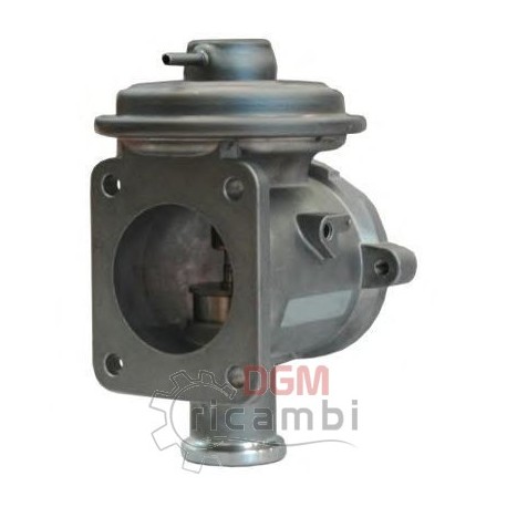 E.G.R. valve BMW 203022