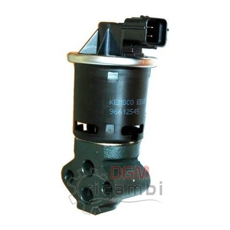 E.G.R. valve Daewoo 203023
