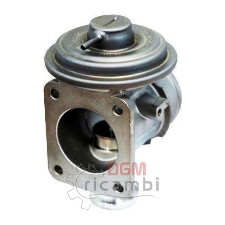 E.G.R. valve BMW 203 024