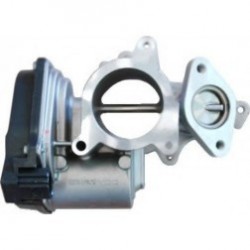 E.G.R. valve Audi 203029