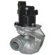 E.G.R. valve Citroen 203032