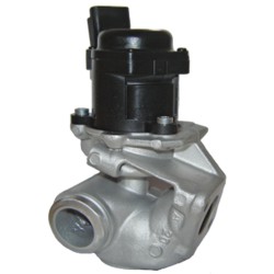 E.G.R. valve Citroen 203032