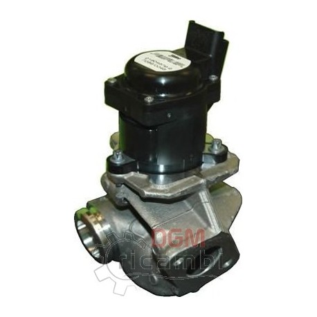 E.G.R. valve Citroen Ford-203033