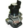 E.G.R. valve Citroen Ford-203033