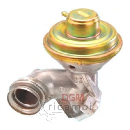 E.G.R. valve Ford Peugeot Citroen 203039