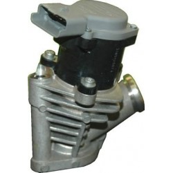 E.G.R. valve Peugeot 203041
