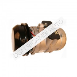 Compressore rigenerato Denso 6E171C 14530