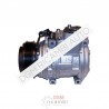 Compressore rigenerato Denso 10PA15C 14025