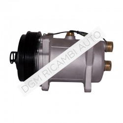 Compressore rigenerato Seiko Seiki SS170PSS1 13733
