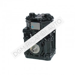 Compressore York 13173N