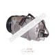 Compressore rigenerato Sanden SD7V16 13755