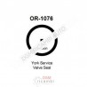 O Ring OR-1076