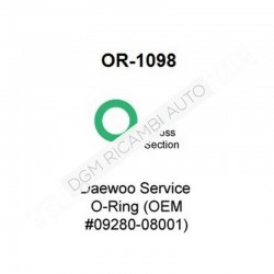 O Ring OR-1098
