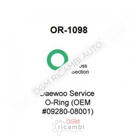 O Ring OR-1098