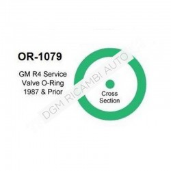 O Ring OR-1079