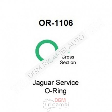 O Ring OR-1106