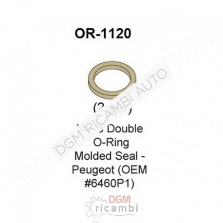 O Ring OR-1120