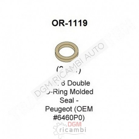 O Ring OR-1119