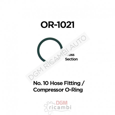 O Ring OR-1021