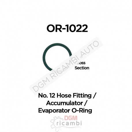 O Ring OR-1022