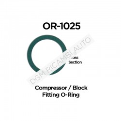 O Ring OR-1025