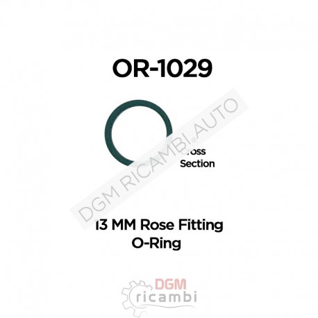 O Ring OR-1029