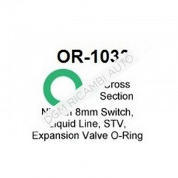 O Ring OR-1033