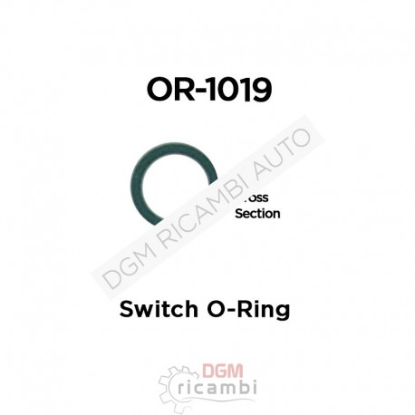 O Ring OR-1019