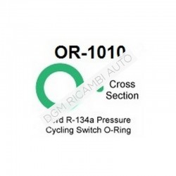 O Ring OR-1010