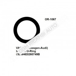 O Ring OR-1067