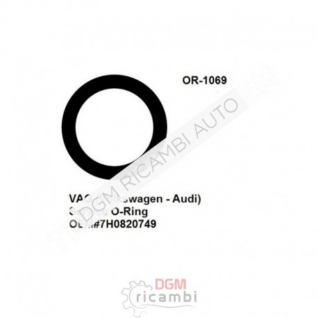 O Ring OR-1069