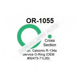 O Ring OR-1055