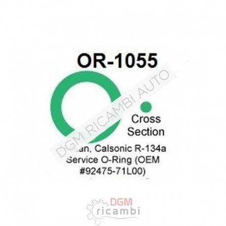 O Ring OR-1055