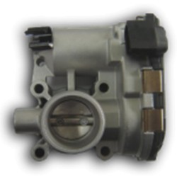 Throttle Body Smart 204018