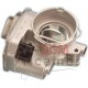 Throttle Body Audi-Volkswagen 204022