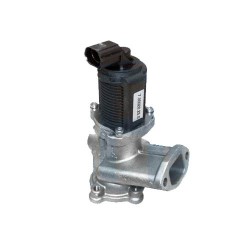 E.G.R Renault valve 203054