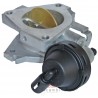 Throttle Body Fiat 204032