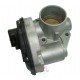 Throttle Body Ford 204052